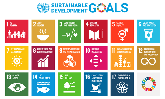 How does Asan contribute to Sustainable Development Goals?