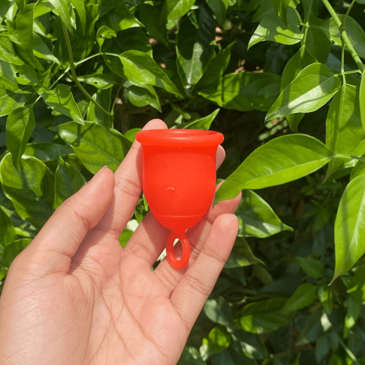 Captivating Can You Pee With A Menstrual Cup In Photo for Mobile Captivating Can You Pee With A Menstrual Cup In Photo for Mobile