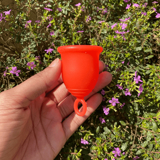 What is a menstrual cup? - Asan India