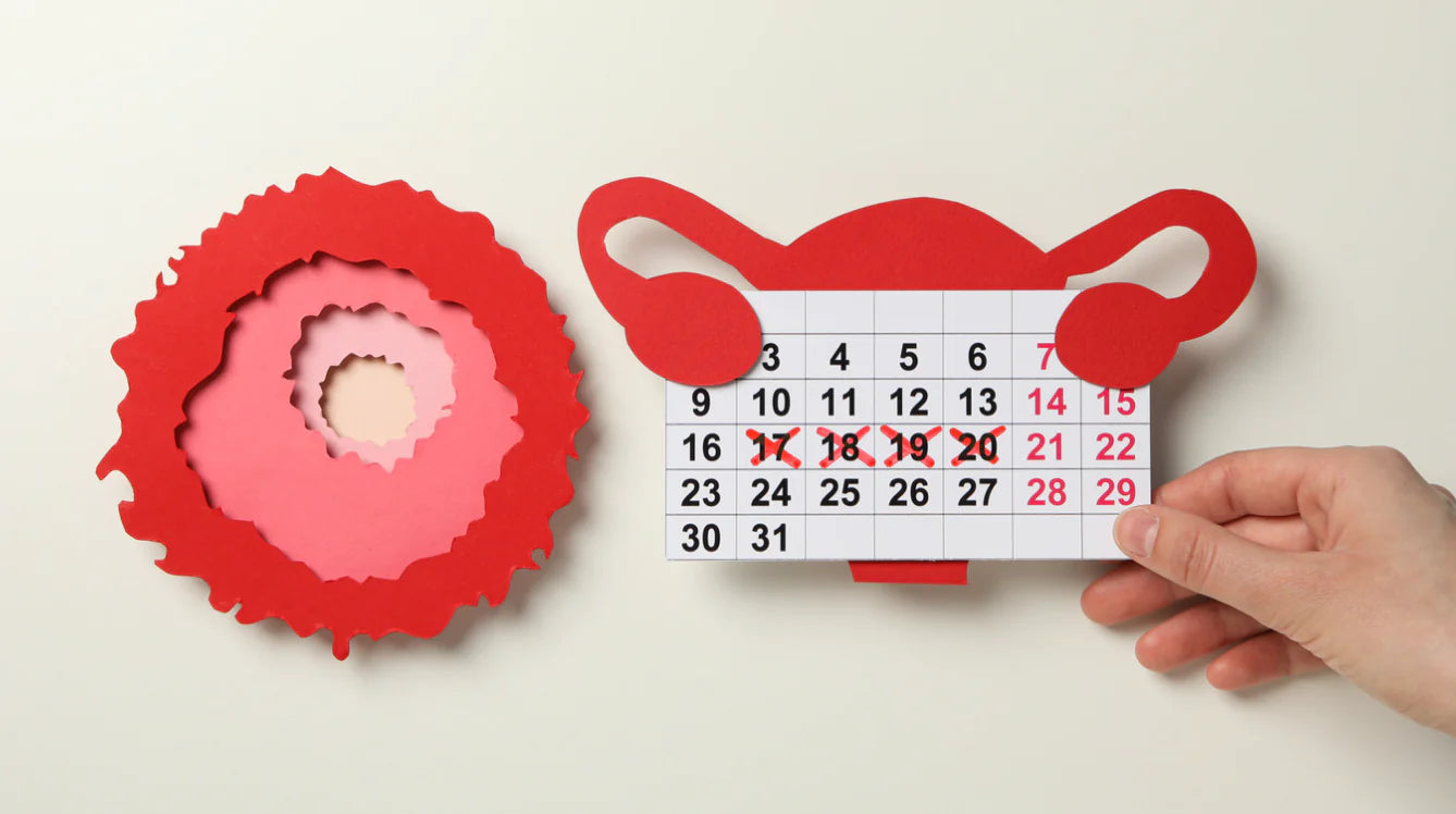 Ovulation phase diet tips