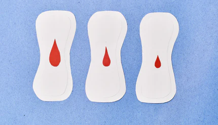 Skipping periods in pregnancy Menstrual flow during gestation Pregnancy and menstrual bleeding