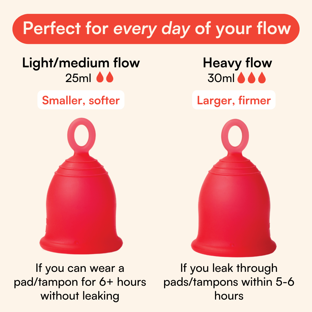 Two Asan Cups @35% off - Asan India