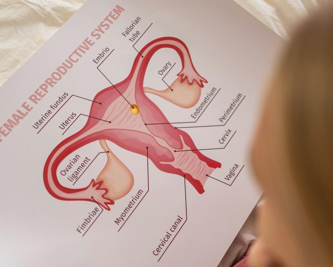 Medications causing menorrhagia